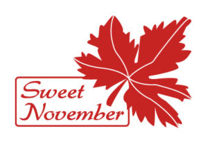 logo__swett_november